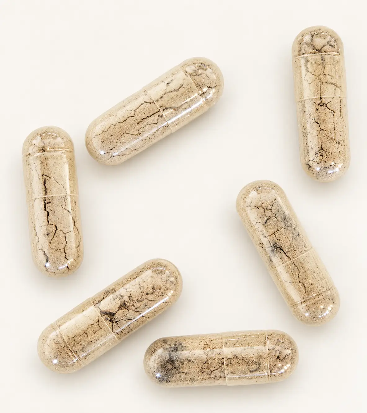 BioBind